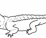 Coloriage et dessins gratuit Alligator couleur à imprimer