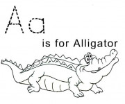 Coloriage et dessins gratuit Alligator pour enfant à imprimer
