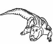 Coloriage et dessins gratuit crocodile simple à colorier à imprimer