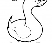 Coloriage et dessins gratuit Canard en noir et blanc à imprimer
