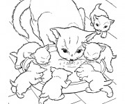 Coloriage et dessins gratuit Chat et ses chatons à imprimer