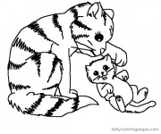 Coloriage et dessins gratuit Chat tigré et son bébé à imprimer