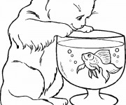 Coloriage et dessins gratuit Le chat et le poisson à imprimer
