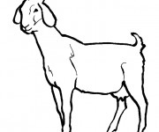 Coloriage et dessins gratuit Chèvre en noir et blanc à imprimer