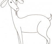 Coloriage et dessins gratuit Chèvre pour enfant à imprimer