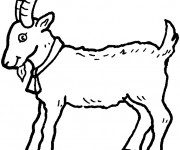 Coloriage et dessins gratuit Une petite Chèvre à imprimer