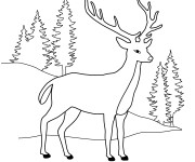 Coloriage et dessins gratuit Chevreuil dans la forêt à imprimer