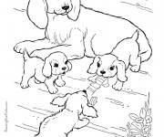 Coloriage et dessins gratuit Chien et ses petits à imprimer