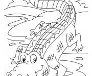 Coloriage et dessins gratuit Crocodile 17 à imprimer