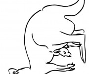Coloriage et dessins gratuit Kangourou à télécharger à imprimer