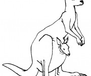 Coloriage et dessins gratuit Kangourou maternelle à imprimer