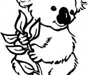 Coloriage et dessins gratuit Koala en couleur à imprimer