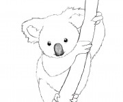 Coloriage et dessins gratuit Koala mandala à imprimer