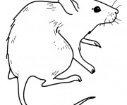 Coloriage et dessins gratuit Rat à découper à imprimer