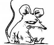 Coloriage Rat humoristique