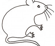 Coloriage et dessins gratuit Rat maternelle à imprimer