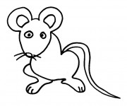 Coloriage Rat simple