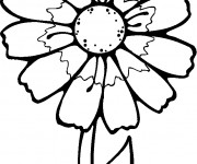 Coloriage et dessins gratuit Fleur Blanche à imprimer