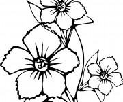 Coloriage et dessins gratuit Fleur en noir à imprimer