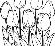 Coloriage et dessins gratuit Fleurs et plantes à imprimer