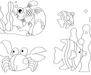 Coloriage et dessins gratuit Animaux Marins exotiques à imprimer