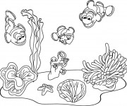 Coloriage et dessins gratuit Fond Marin poissons à imprimer