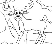 Coloriage et dessins gratuit Animal de Montagne à imprimer