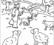 Coloriage et dessins gratuit Les moutons de ferme à imprimer