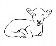 Coloriage Jeune agneau