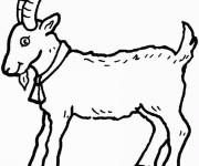 Coloriage et dessins gratuit Chèvre facile à découper à imprimer