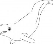 coloriage beluga gratuit a imprimer de souris et oreilles chat