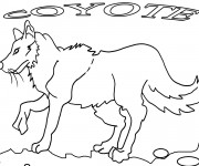 Coloriage et dessins gratuit Coyote en noir et blanc à imprimer