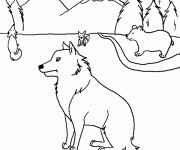 Coloriage et dessins gratuit Coyotes et Ours à imprimer