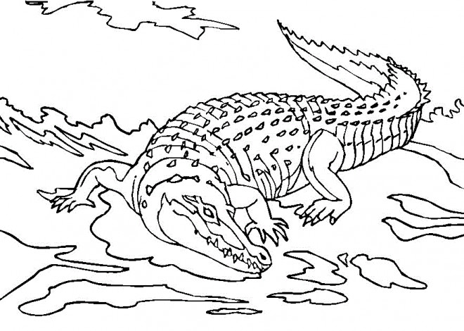 Dessin à colorier d'un crocodile faisant de la plongée