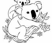 Coloriage et dessins gratuit Koala et son petit à imprimer