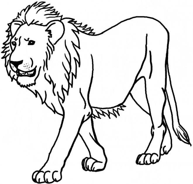 Coloriage Lion 2 dessin gratuit à imprimer