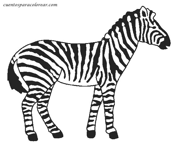 coloriage zebre noir et blanc dessin gratuit a imprimer montagne enfants