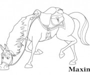 Coloriage Maximus Le cheval