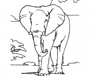 Coloriage et dessins gratuit Éléphant en Afrique à imprimer