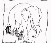 Coloriage et dessins gratuit Un Éléphant à découper à imprimer