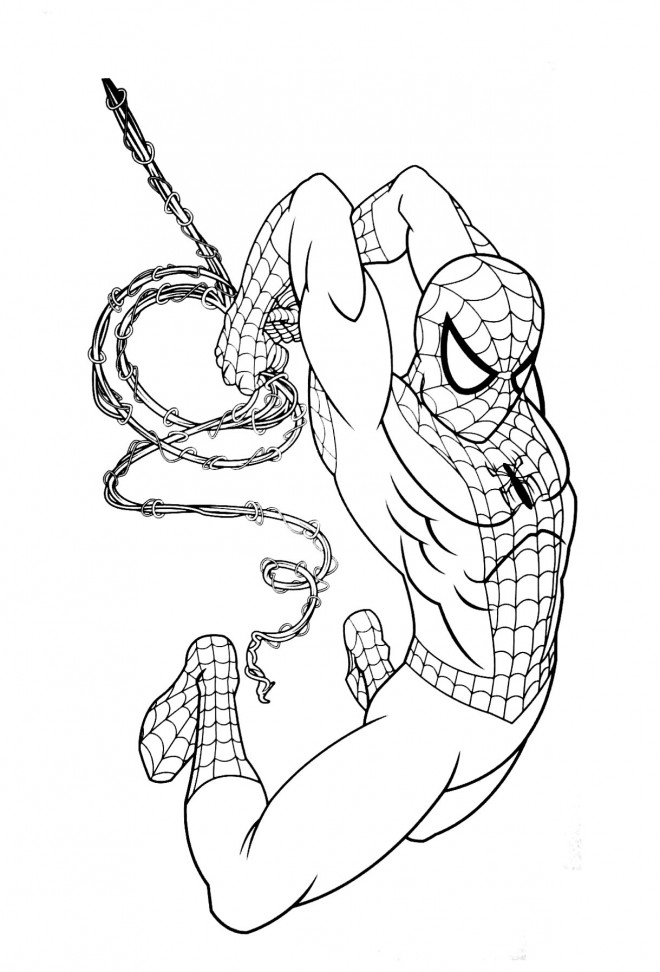 Coloriage Spiderman : Les meilleurs dessins à imprimer pour les fans de  l'homme-araignée - Support - Feed Genie - Extensions 