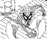 spiderman facile 4