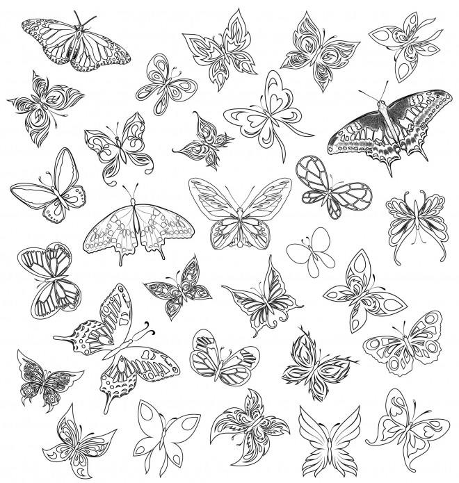Coloriage Zen Papillons Magnifiques Dessin Gratuit à Imprimer
