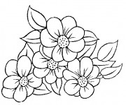 Coloriage et dessins gratuit Fleuriste 13 à imprimer