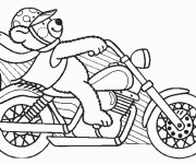 Coloriage et dessins gratuit Ours pilote sa Moto Harley à imprimer